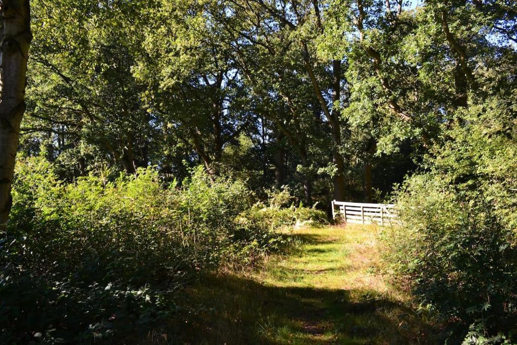 De Specht Villa Anloo Eksteriør billede